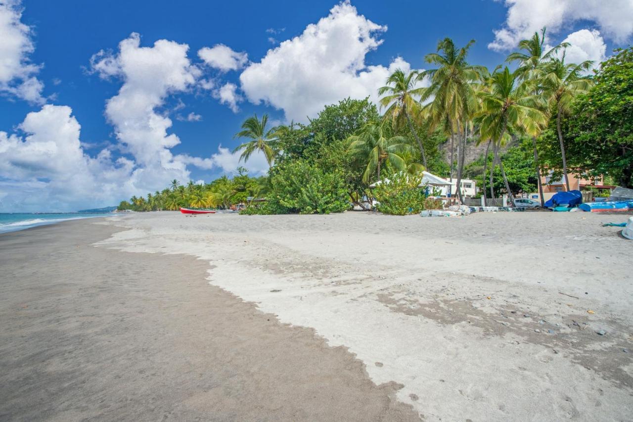Appartement Charmant Au Carbet Avec Vue Sur La Mer 50 M² 勒卡尔贝 外观 照片