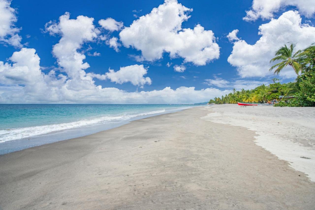 Appartement Charmant Au Carbet Avec Vue Sur La Mer 50 M² 勒卡尔贝 外观 照片
